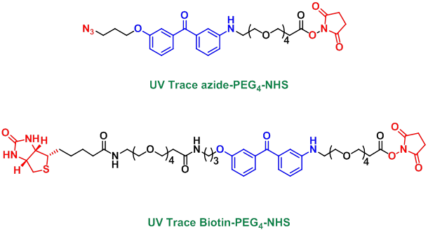UV-tracer 探针-
