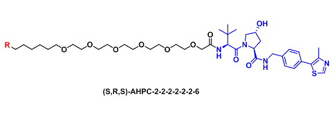 (S,R,S)-AHPC-2-2-2-2-2-2-6