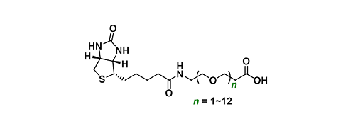 Biotin-PEGn-COOH