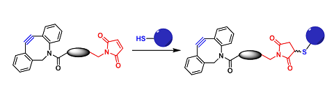 DBCO-巯基反应