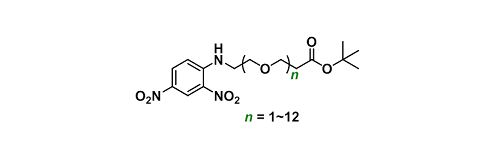 DNP-PEGn-COOtBu