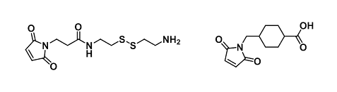 其它马来酰亚胺衍生物