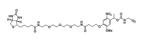 炔-生物素