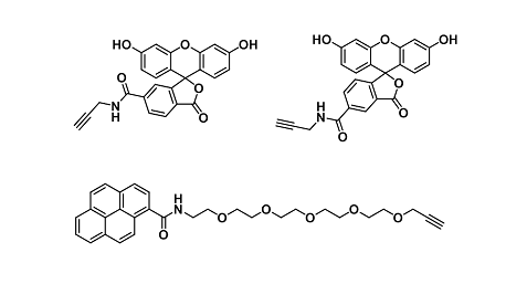 炔-荧光染料