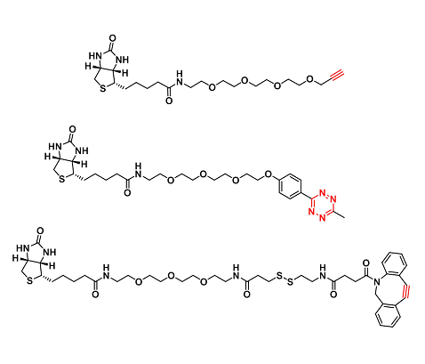 生物素-点击化学