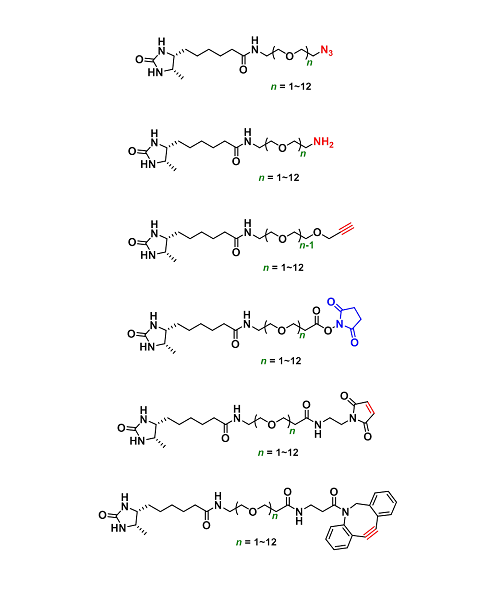 生物素-脱硫生物素