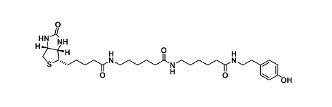 生物素-酪氨