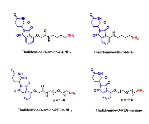 Thalidomide-NH2