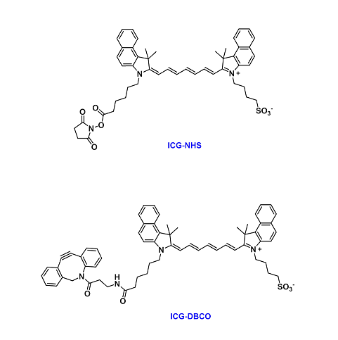 (Sulfo)ICG - dyes