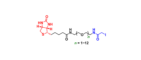 Biotin-iodoacetamide