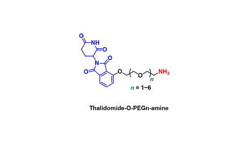 Thalidomide-O-PEGn-amine