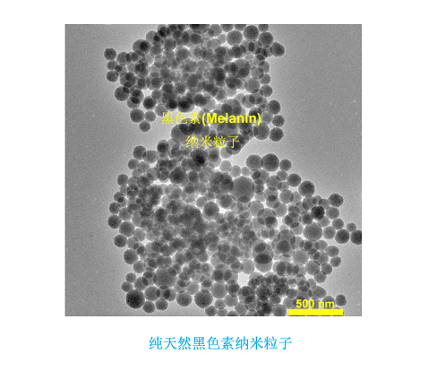 纯天然黑色素纳米粒子