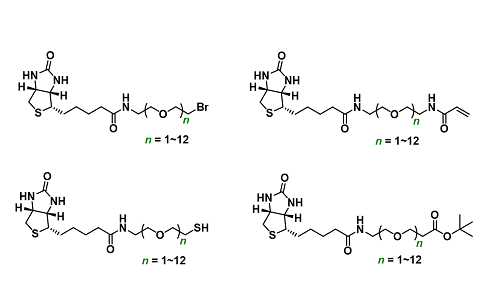 Biotin-PEGn