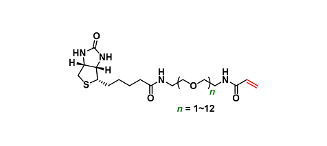 Biotin-PEGn-Acrylamide