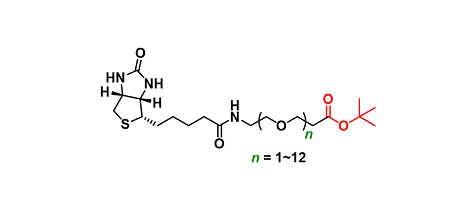 Biotin-PEGn-Boc