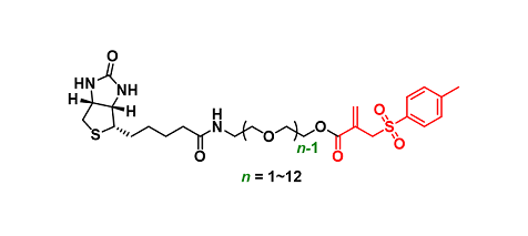 Biotin-PEGn-IC