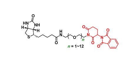 Biotin-PEGn-Thalidomide