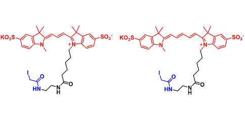 Cyanine-iodoacetamide