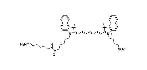 ICG-Dyes