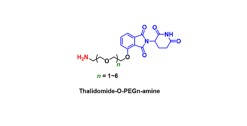 Thalidomide-O-PEGn-amine