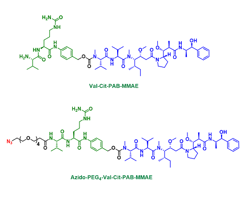 Val-Cit-MMAE