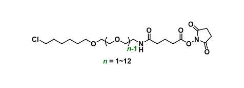 Cl-C6-PEGn-NHCO-C3-NHS