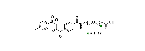 Active-Mono-Sulfone-PEGn-acid