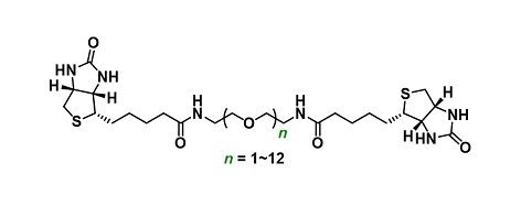 Biotin-PEGn-Biotin