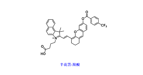 半花菁染料