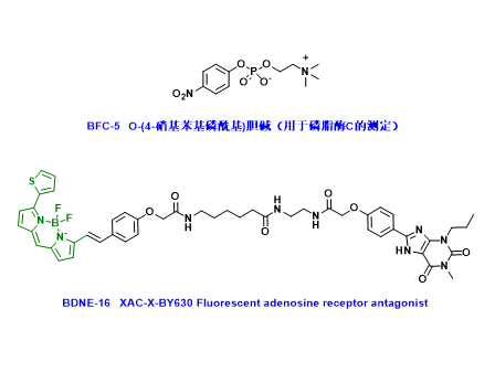 受体与酶检测探针
