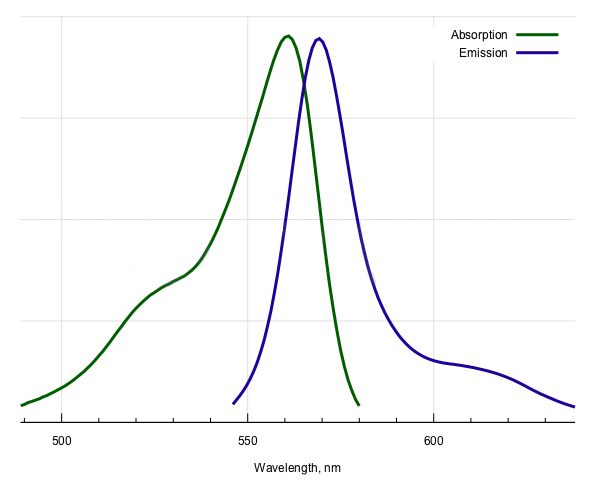 BDP 558/568-羧酸的吸收和发射光谱